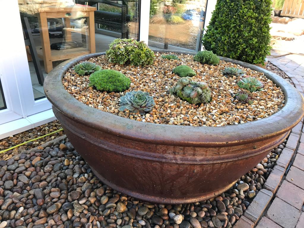 planting schemes cumbria