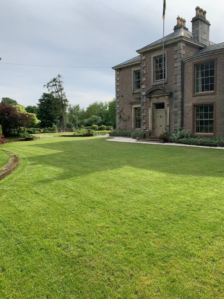 Large Lawn & Entrance